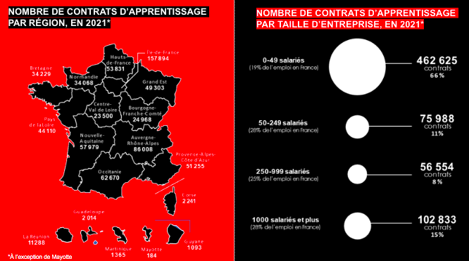 Work-study contracts in relation to regions and company sizes