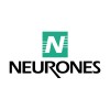 Neurones