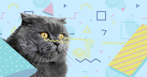 L’art du community management, expliqué par votre chat !