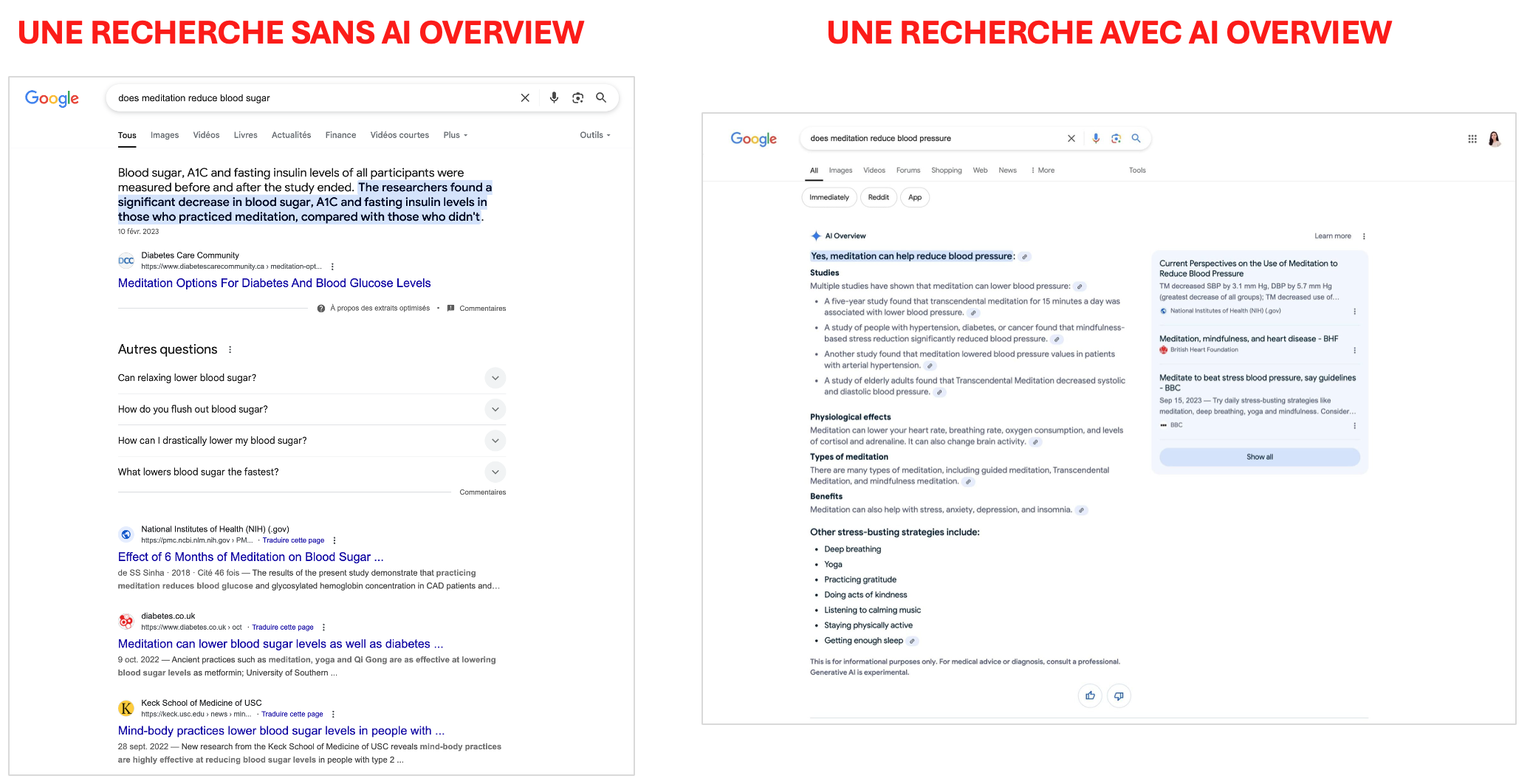 Google AI overview