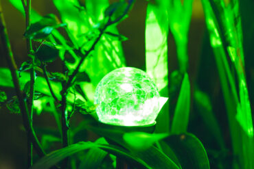 Les 10 astuces du Green-Communicant