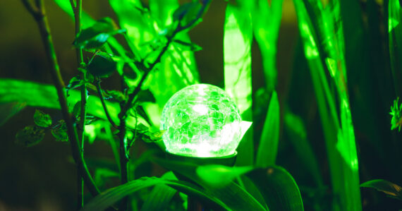 Les 10 astuces du Green-Communicant