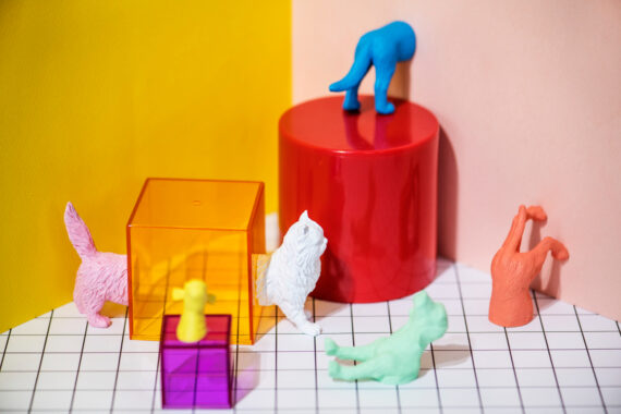 fond coloré, figurine d'animaux colorés, effet design