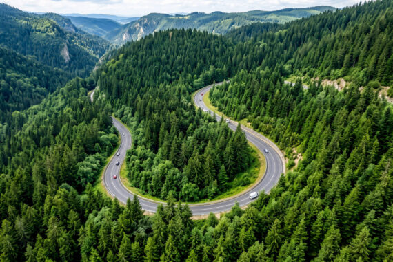 vue aérienne d'un grand virage route dans une foret verte